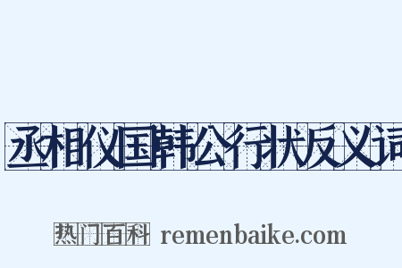 丞相仪国韩公行状反义词是什么意思的图片